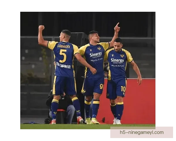 博洛尼亚vs维罗纳首发:奥尔索利尼罗登场 博洛尼亚vs维罗纳首发:奥尔索利尼罗登场