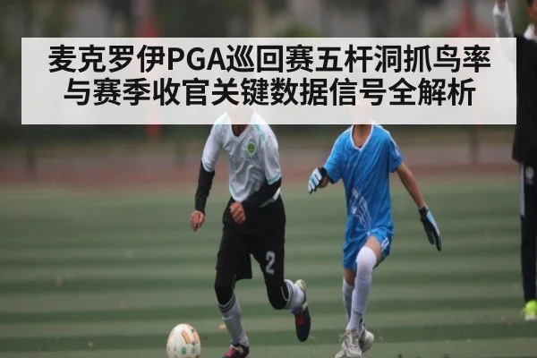 麦克罗伊PGA巡回赛五杆洞抓鸟率与赛季收官关键数据信号全解析